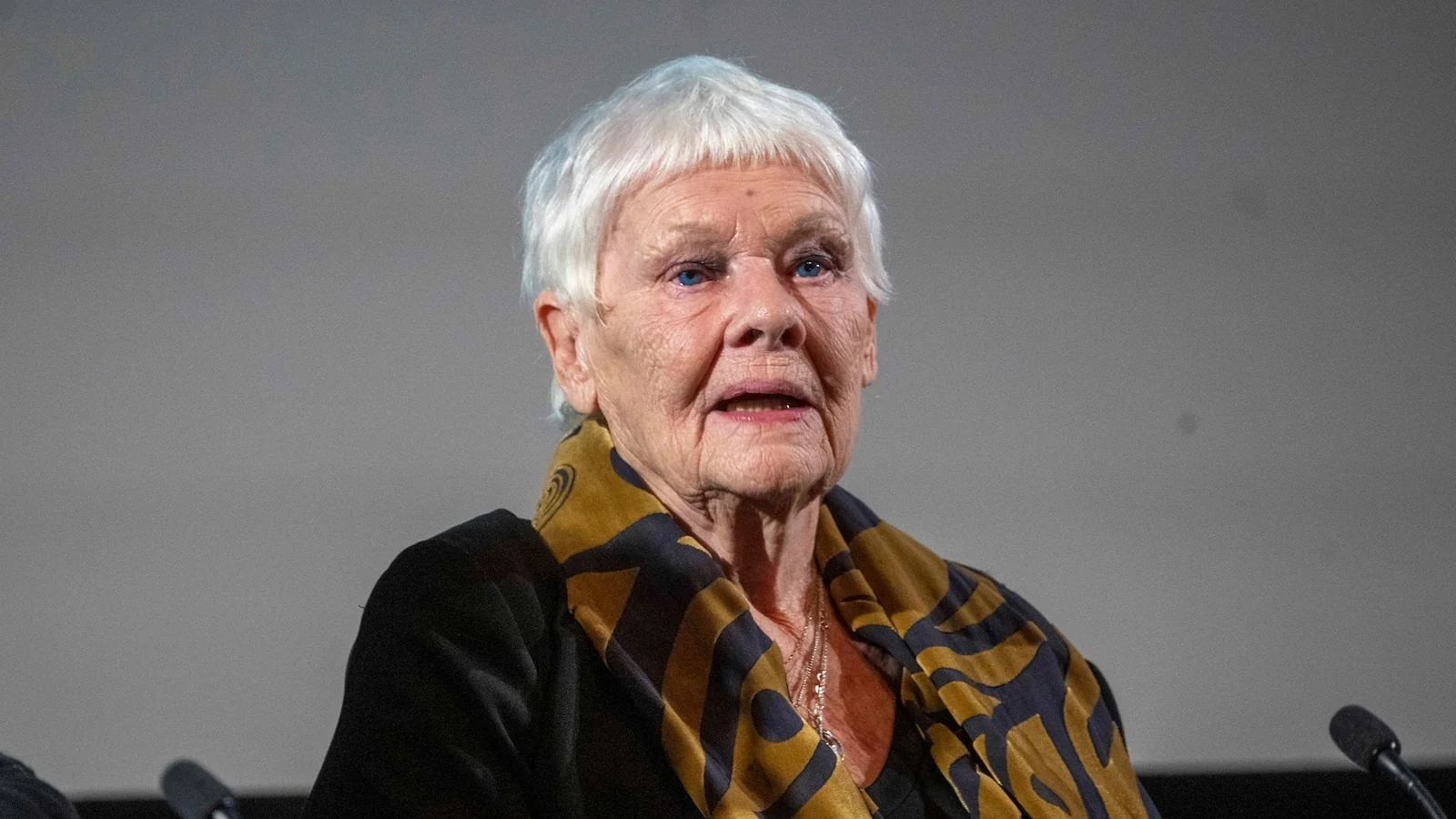Judi Dench em foto de imprensa